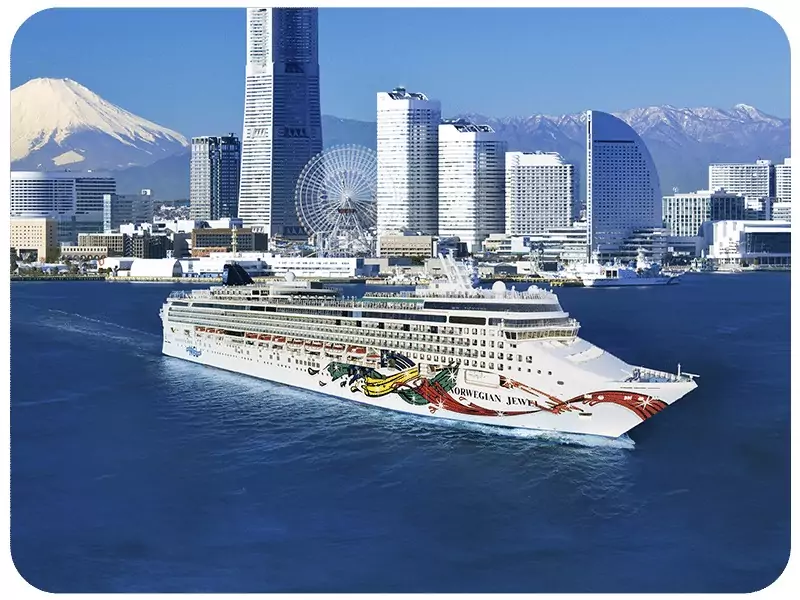 What happens on a Spicy Cruise?